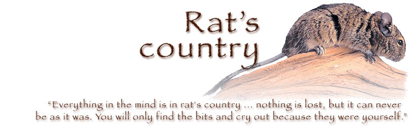 Rat's Country photo